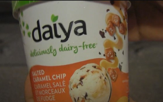 Daiya Non dairy